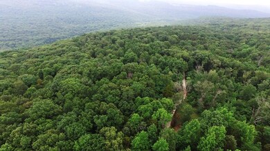 10873 N Devils Den Rd, Winslow, AR 72959 - photo 2