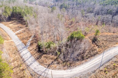 LOT 63 Shoreside at Sipsey, Double Springs, AL 35553 - photo 7