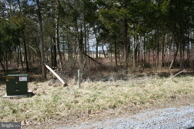LOT: 1 Queenship Ln, Berryville, VA 22611 - photo 5