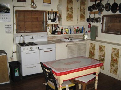 123456 Jenks Rd, Baldwin, MI 49304 - photo 4