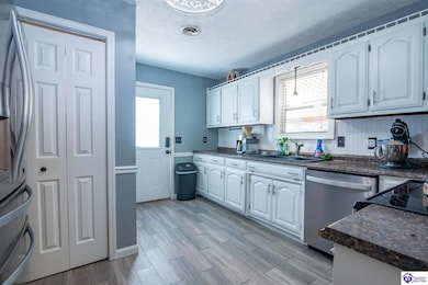 4033 New Jackson Hwy, Hodgenville, KY 42748 - photo 2