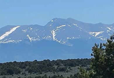 Calvary Trl Garci unit a Colorado 81152, Garcia, CO 81152 - photo 3