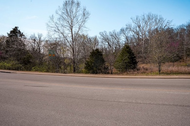 0 Frank Rea Blvd unit Lot F3 23190306, Branson, MO 65616 - photo 5