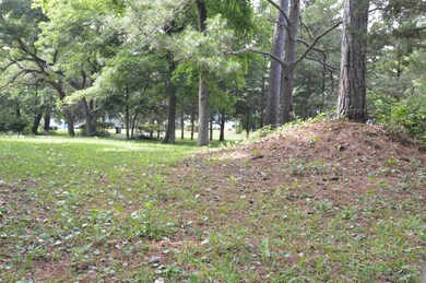 100 Shady Ln, Atlantic Beach, NC 28512 - photo 2