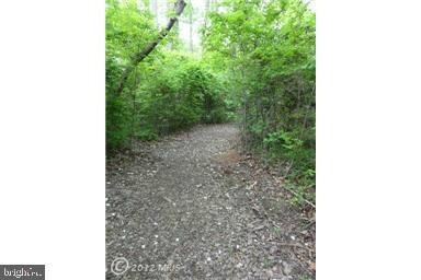 307 Pintail Ln, Annapolis, MD 21409 - photo 7