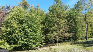 0 Cherry Heights Ln unit 12 MDGA135448, Mc Henry, MD 21541 - photo 6