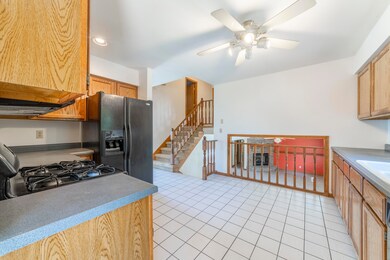 10046 Polk Ct, Crown Point, IN 46307 - photo 5