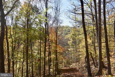 0 Bessie Bell Mountain Rd unit VARP107660, Castleton, VA 22716 - photo 7