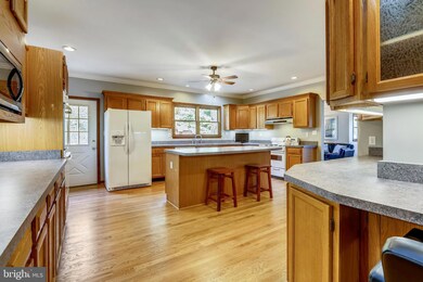 10543 Saint Paul St, Kensington, MD 20895 - photo 4