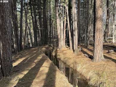 0 Sammy van Lokeren Way unit 650257962, Goldendale, WA 98620 - photo 3