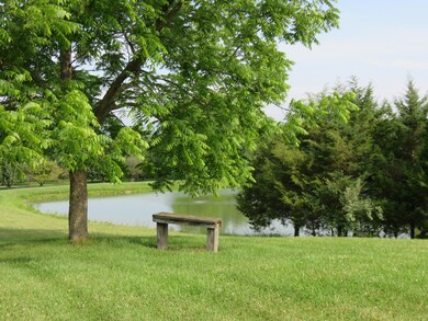 680 Mountain View Rd, Lexington, VA 24450 - photo 5