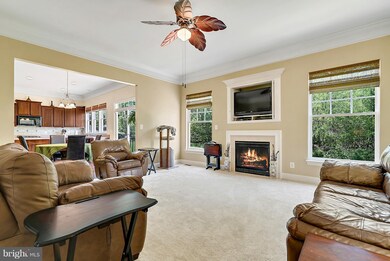 7158 Comrie Ct, Warrenton, VA 20187 - photo 6