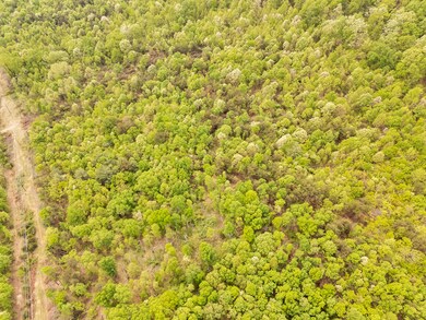 05-95Acre Lot_05