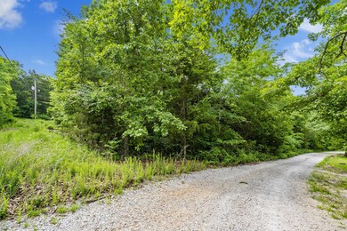 Table Rock Lake Close Acreage