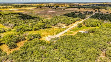 Lot 11 Sedona Creek Ct, Poolville, TX 76487 - photo 5