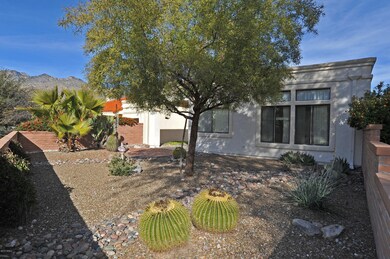 Backyard towards house