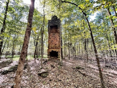 8757 Estes Rd, Macon, GA 31220 - photo 3