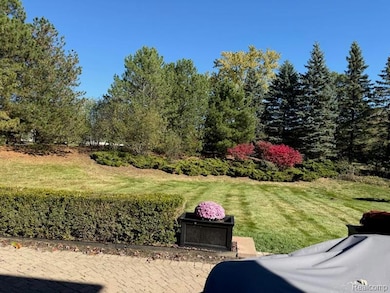 View of grassy yard featuring a patio