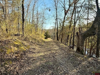 004-00632-000 Hwy 345, Cotter, AR 72626 - photo 5