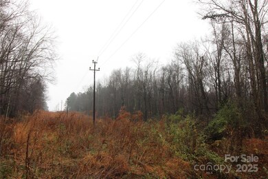 4+/-AC LOT 4 Eaker Rd, Kings Mountain, NC 28086 - photo 4