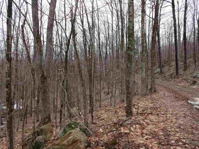 1039 Arcadia Ln, Westmore, VT 05860 - photo 3