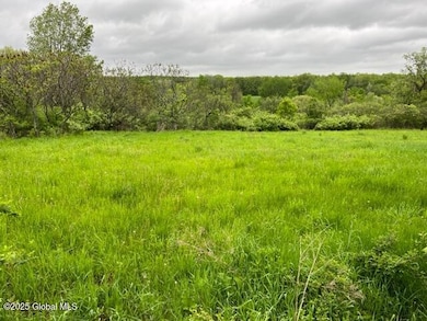 L1.12 Carlisle Rd, Canajoharie, NY 13317 - photo 5