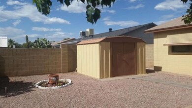 backyard shed #1
