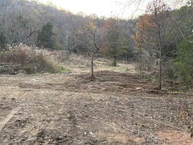 125 Lock 7 Ln, Carthage, TN 37030 - photo 2