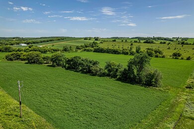 Lot 2 11 77 Acres Trotter Rd, Argyle, WI 53504 - photo 4
