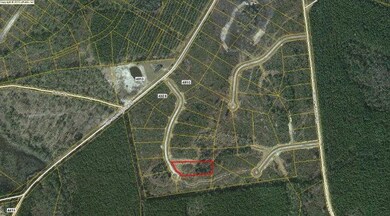 Lot 21