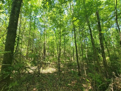 0 S Hwy 27 unit 27320, Geneva, AL 36340 - photo 5