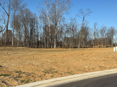 810 Durrow Dr unit Lot 14, Independence, KY 41051 - photo 5