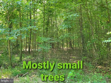 0 NW Goose Nest unit DESU2001902, Laurel, DE 19956 - photo 7