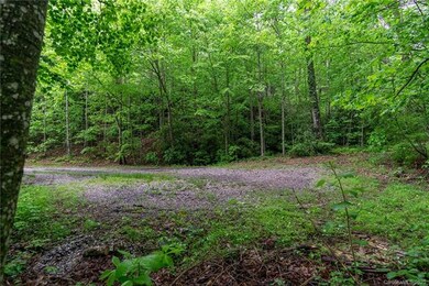 Easy access to Lot #739 from Rhododendron.