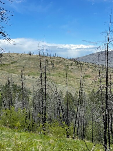 960X Knox Rd, Riverside, WA 98849 - photo 7