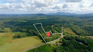 0 Dearmin Rd unit 25132044, Westfield, NC 27053 - photo 3