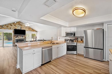 1909 Dove Field Place, Brandon, FL 33510 - photo 4