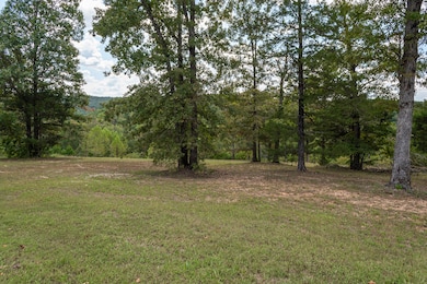 Lot 133 Seven Pines Dr, Saddlebrooke, MO 65630 - photo 7