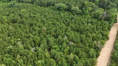 DJI_20240603095430_0035_D