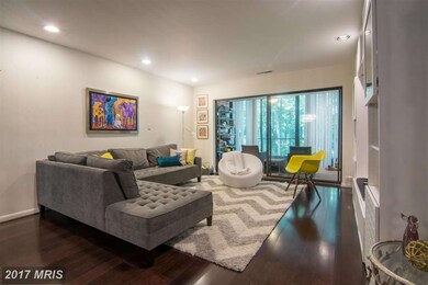 6350 Red Cedar Place unit 208, Baltimore, MD 21209 - photo 6