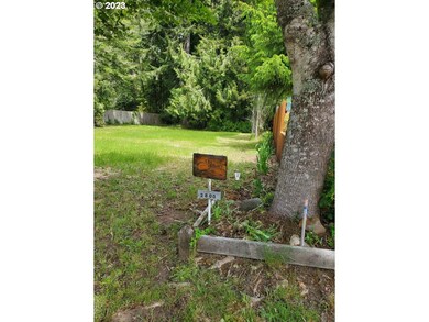 0 Munsel Lake Rd unit TL100 23119993, Florence, OR 97439 - photo 6