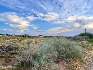 TBD Shrode Rd, Anthony, NM 88021 - photo 2