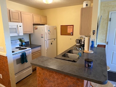 98 W 1230 N unit 225, Provo, UT 84604 - photo 4