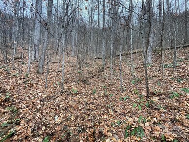 805 Sparkling Falls Rd, Whittier, NC 28789 - photo 4