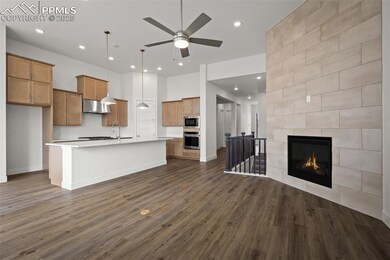 17242 Alsike Clover Ct, Monument, CO 80132 - photo 7