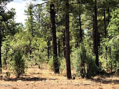 1 Woolford Rd, Show Low, AZ 85901 - photo 5