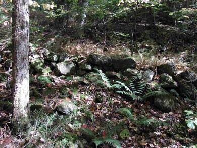 000 Skinny Ridge Rd unit Lot  7, Lyman, NH 03585 - photo 2