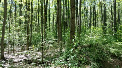 0 Wilderness Trail unit 314703, Vanderbilt, MI 49795 - photo 2