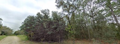 tbd NE 16th Place, Williston, FL 32696 - photo 7