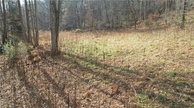 0000 Blackburn Tract 3a Rd, Dawsonville, GA 30534 - photo 7